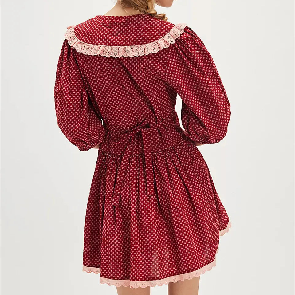 Lace Collar Mini Dress
