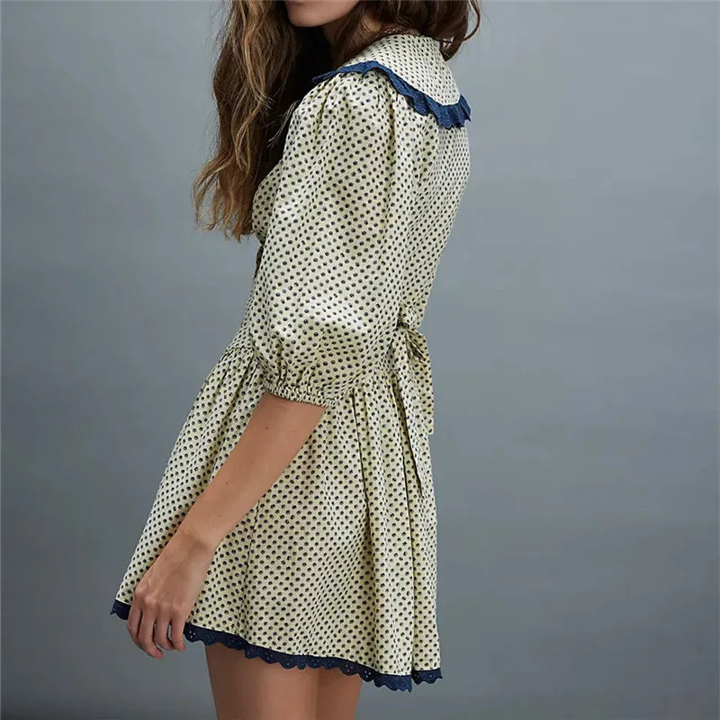 Lace Collar Mini Dress